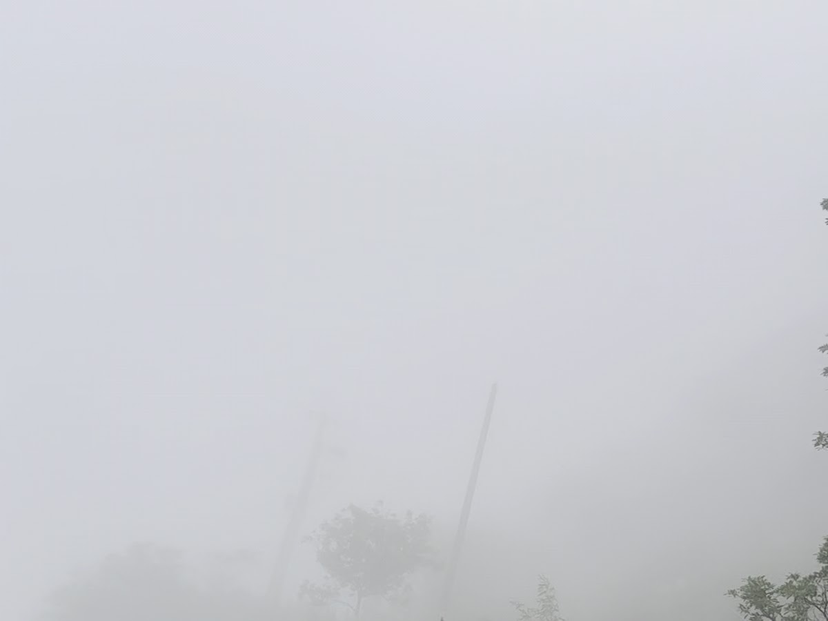 太平雲梯雲霧意境，吊橋橋塔隱沒於白霧中