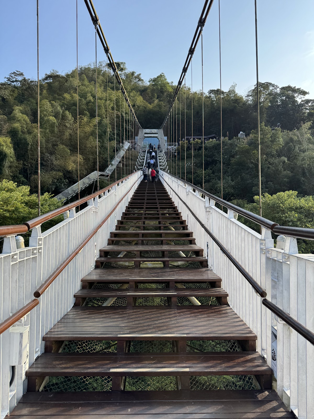 太平雲梯呈階梯式向上延伸，遊客行走在吊橋上，綠樹青山