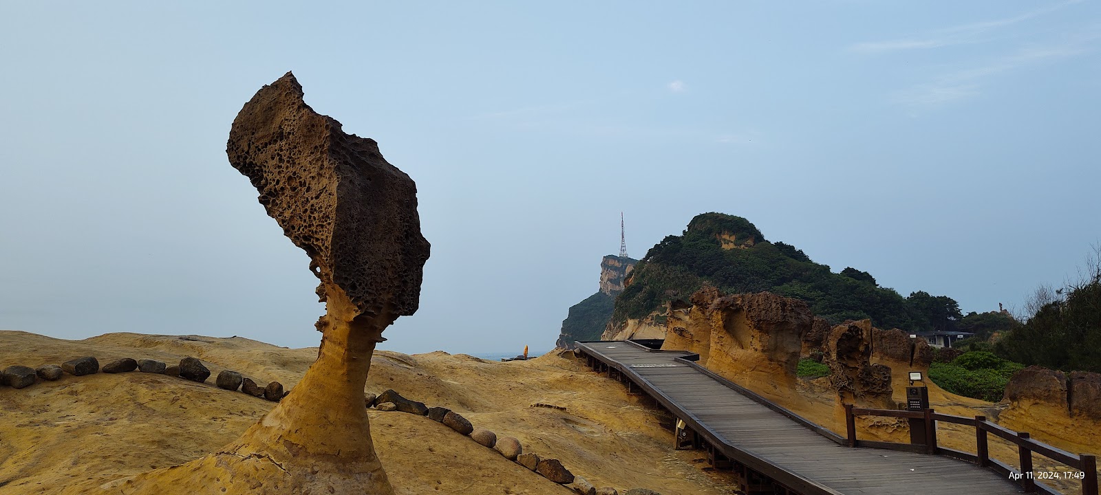 野柳地質公園女王頭蕈狀岩全景,細長岩柱高聳,背景木棧道與青翠山崖