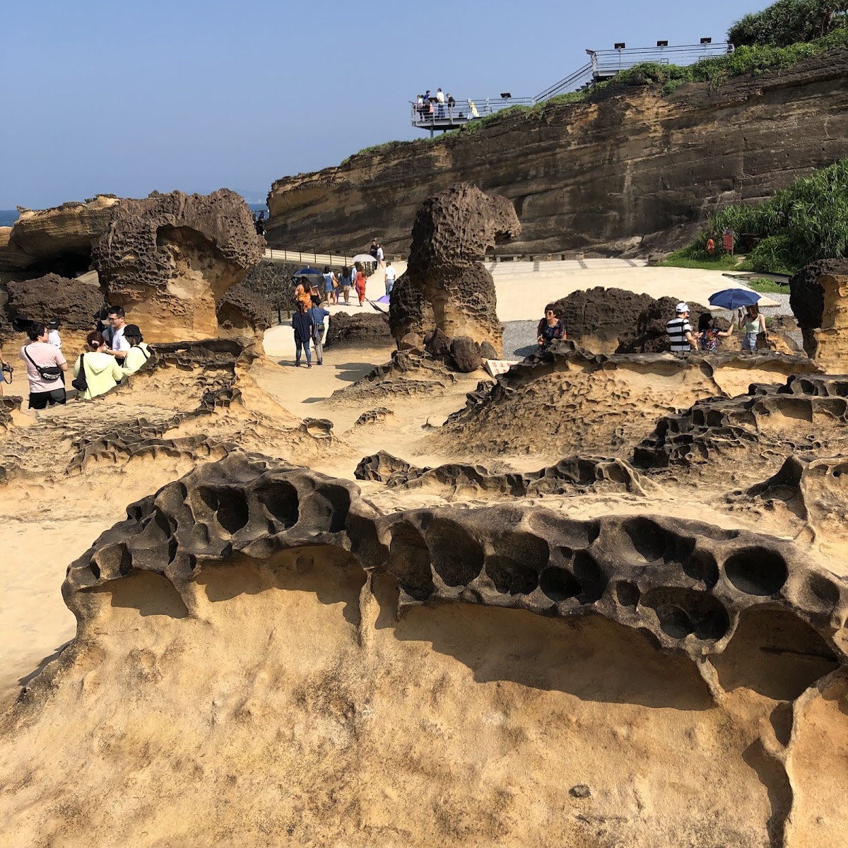 野柳地質公園蜂窩岩蕈狀岩地形近景,遊客漫步岩石間,後方觀景台與崖壁