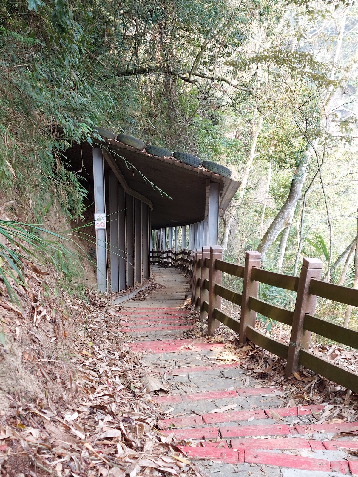 竹山天梯紅磚石階步道,有遮蔽頂棚廊道,落葉鋪路,通往森林深處