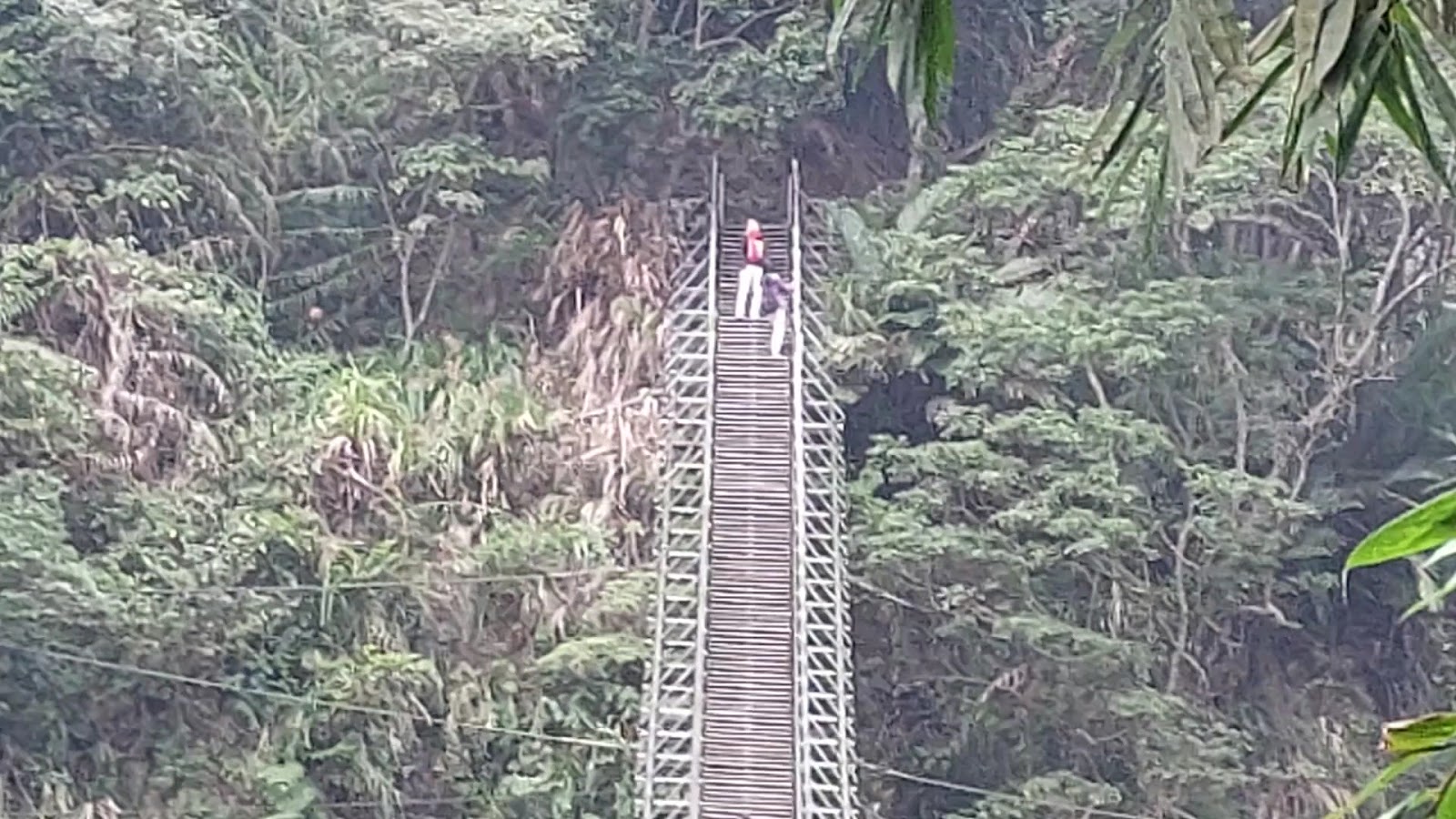 竹山天梯鋼鐵階梯吊橋從谷底仰拍,兩名登山客攀爬,兩側翠綠叢林夾道