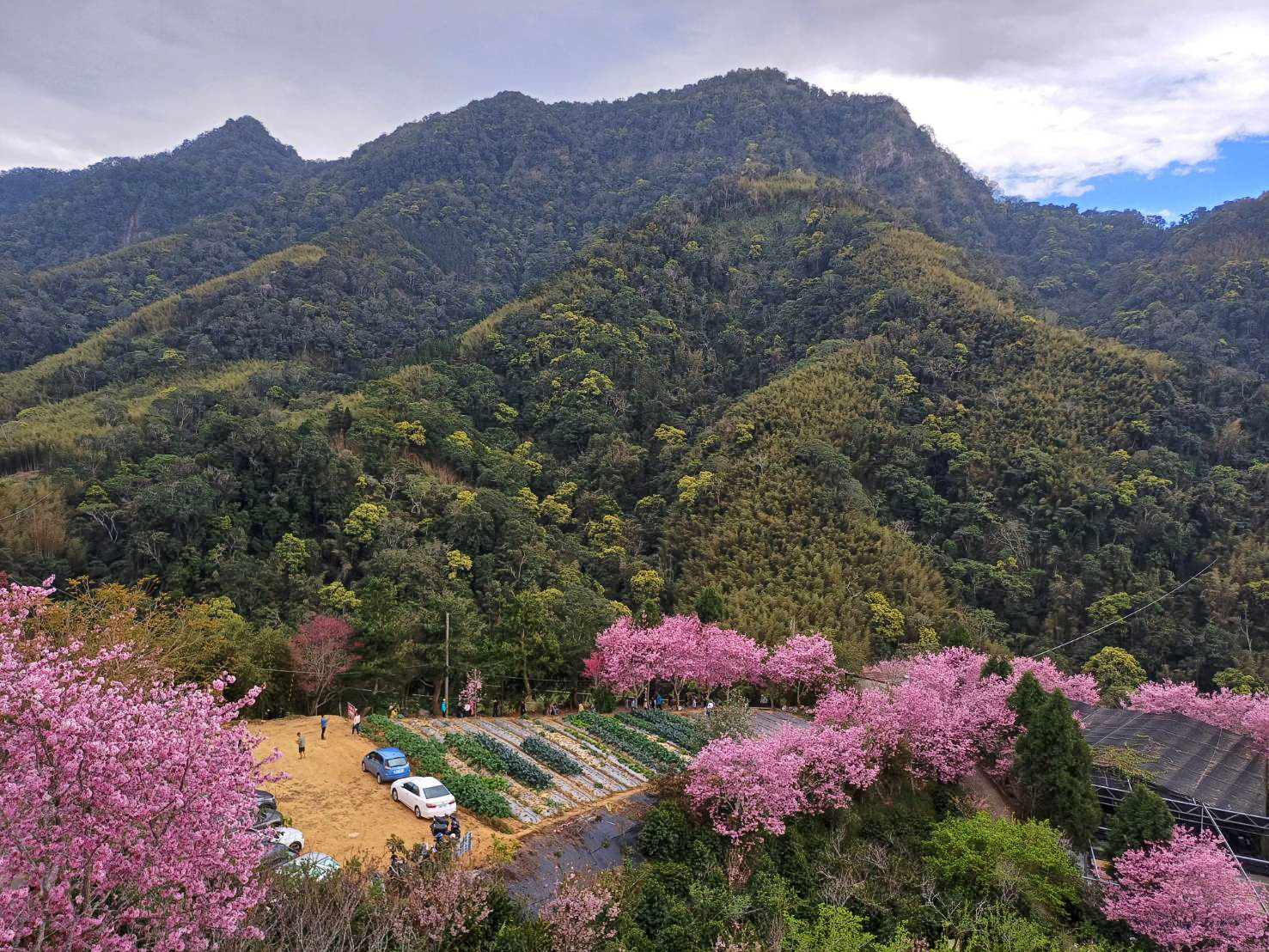劍湖山附近住宿推薦｜111古坑行旅近劍湖山，高CP值住宿、住宿加門票、親子出遊一次滿足
