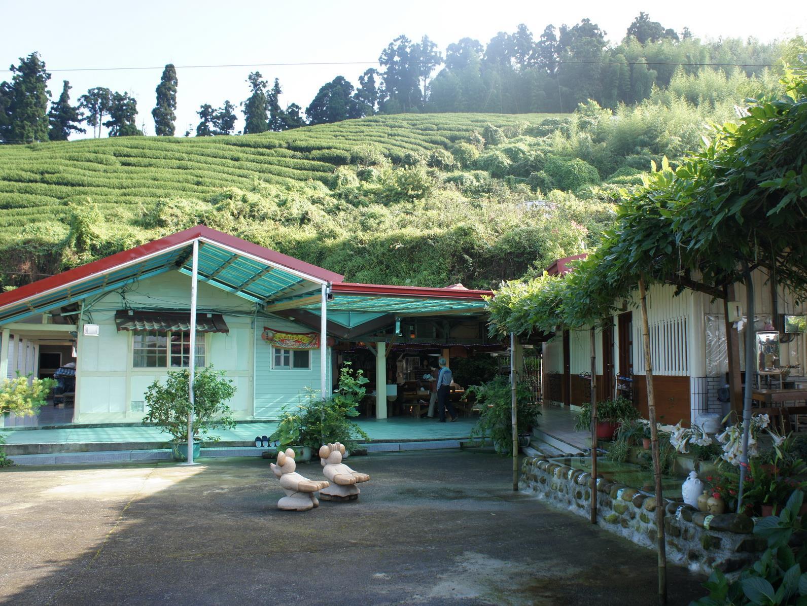 淵明居客棧周邊庭院與茶園