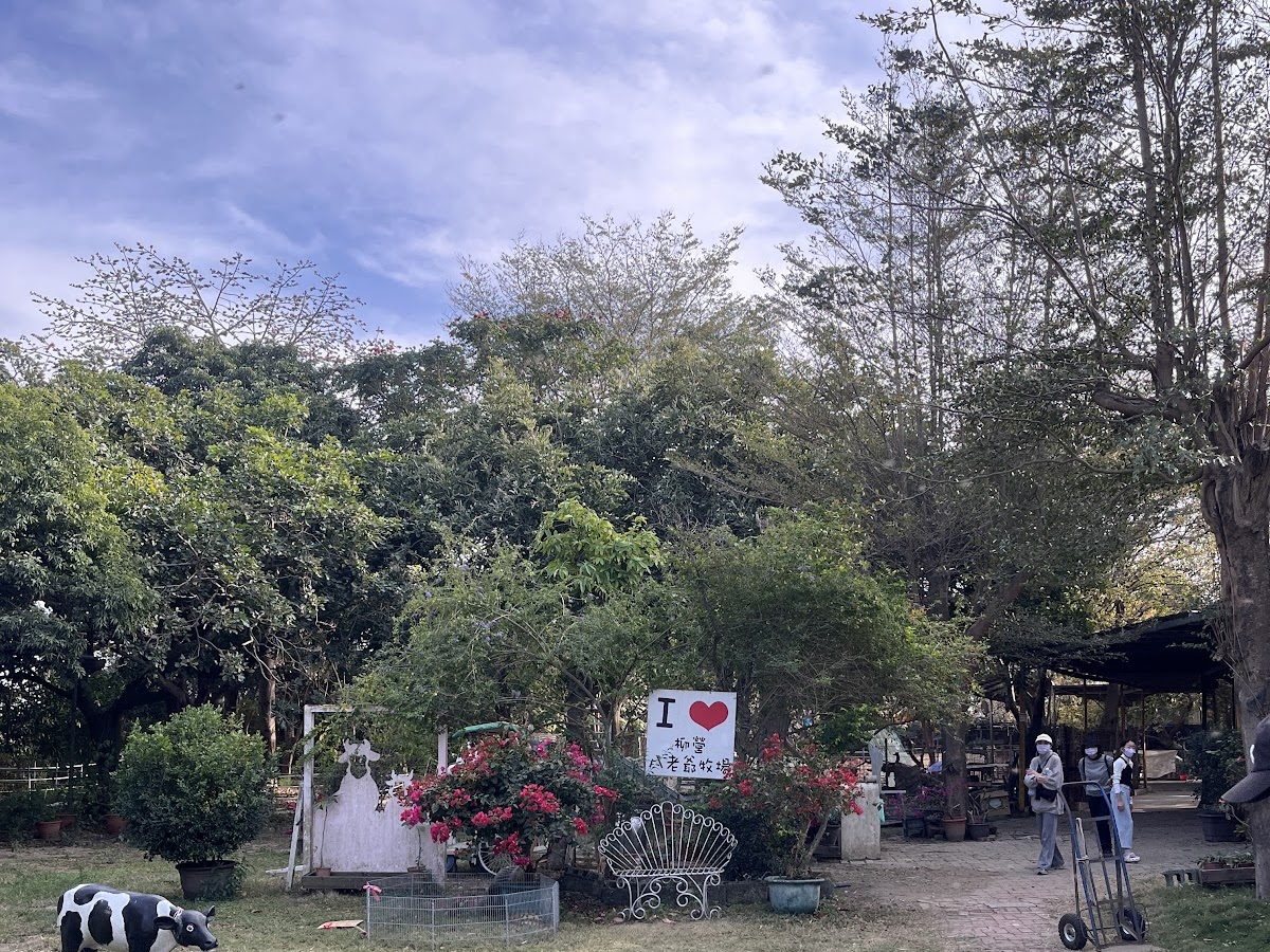 柳營八老爺牧場園區，乳牛模型和玫瑰花叢