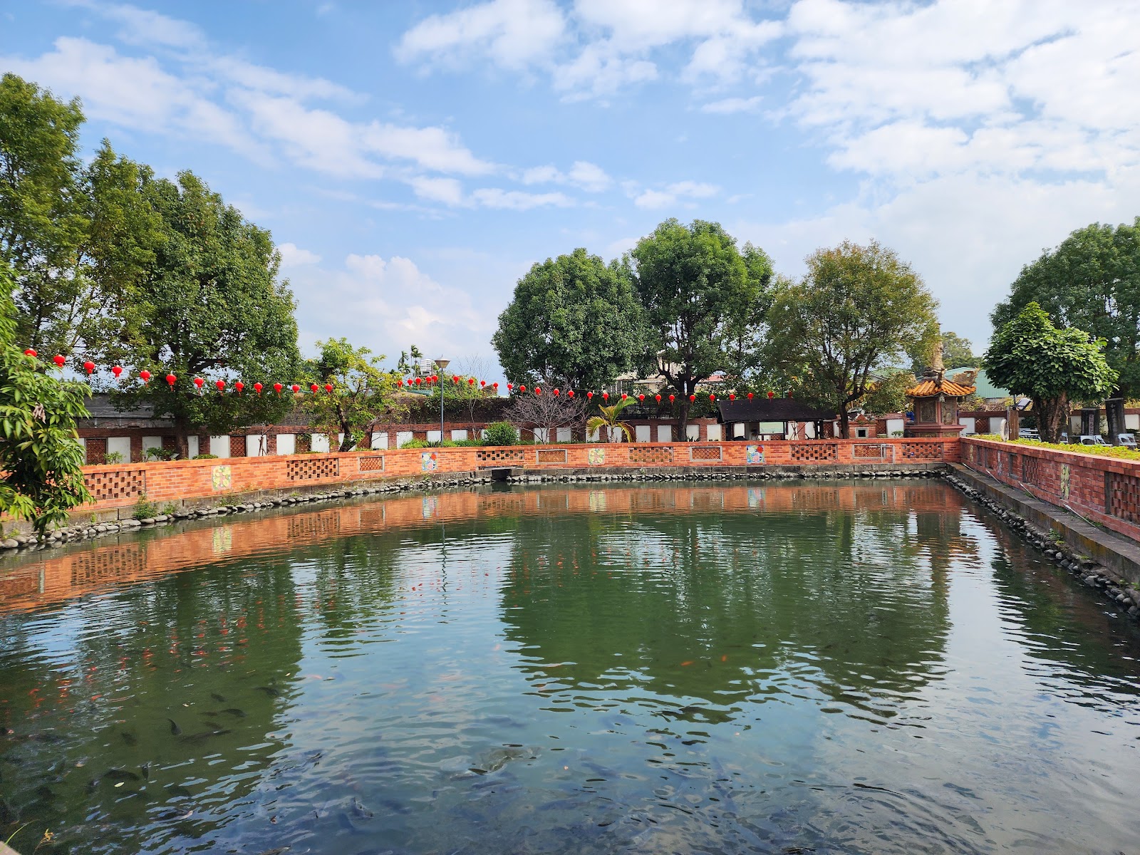 土牛客家文化館半月池錦鯉，客家伙房建築前蓄水池，台中石岡旅遊