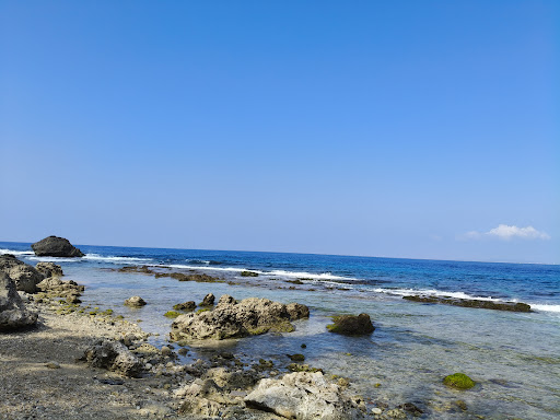 海岸步道旁的開闊海景