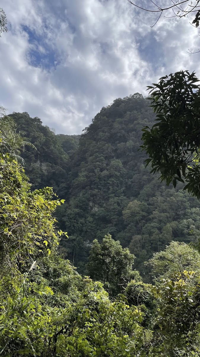 鴛鴦谷深山谷地原始山林