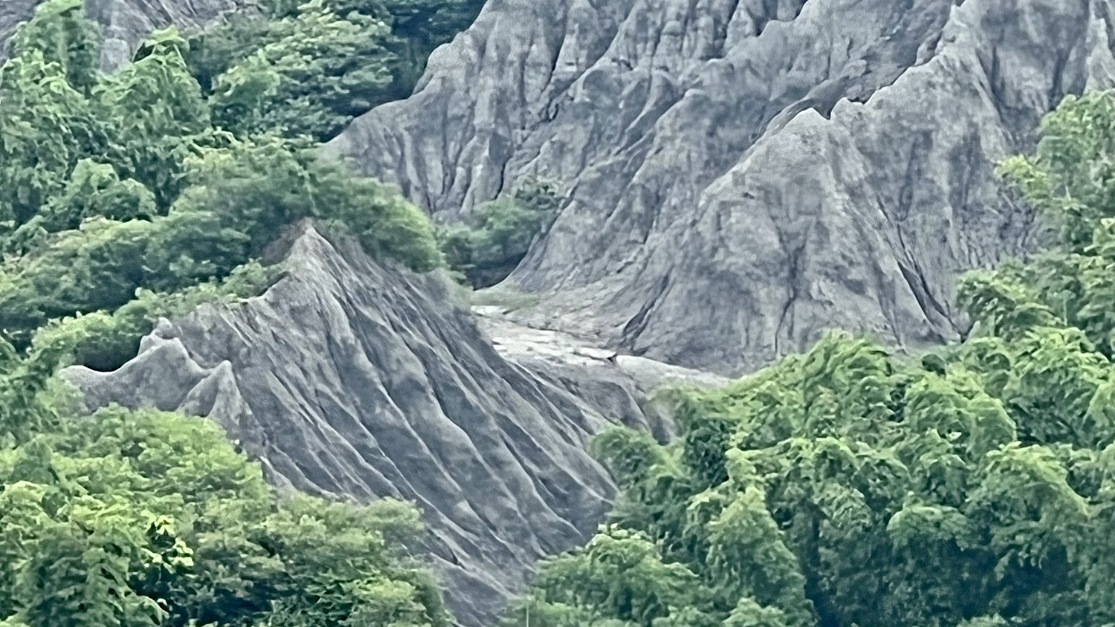 龍崎牛埔惡地自然保留區泥岩山脊與兩側綠樹的強烈對比