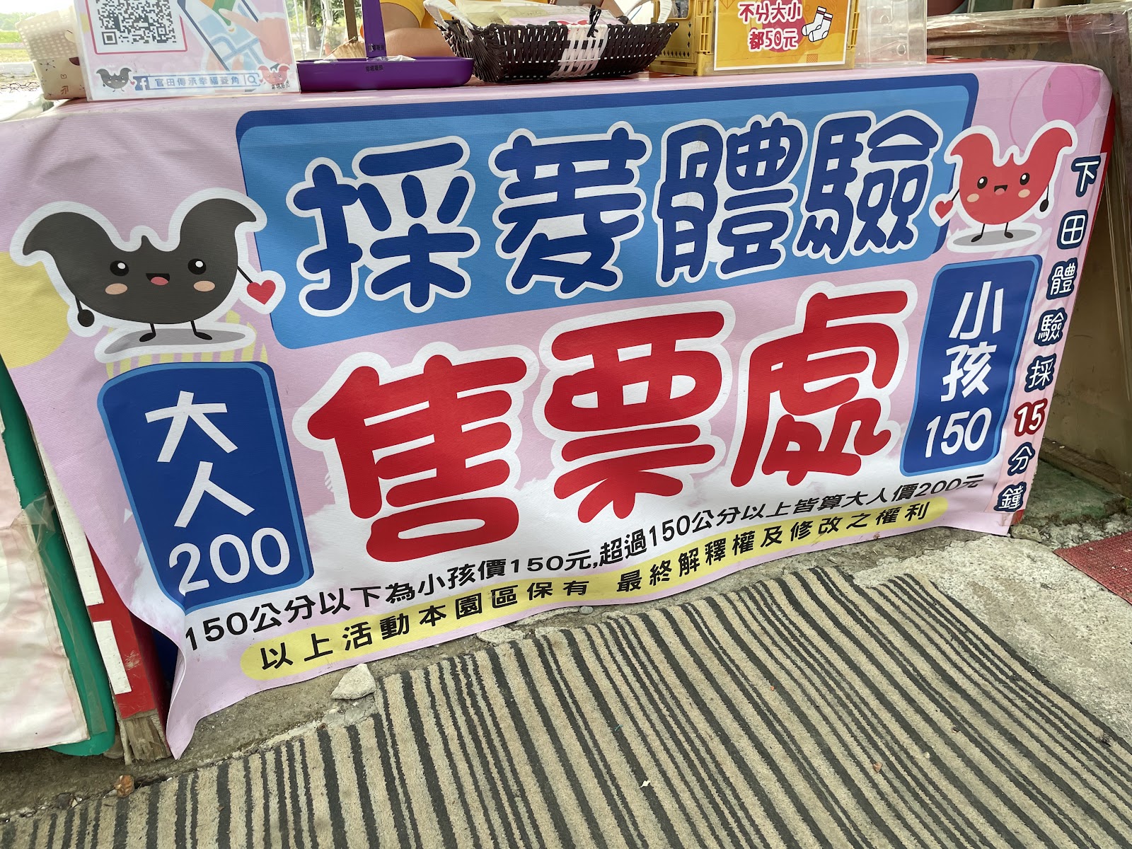 採菱體驗售票處活動說明大人200元小孩150元