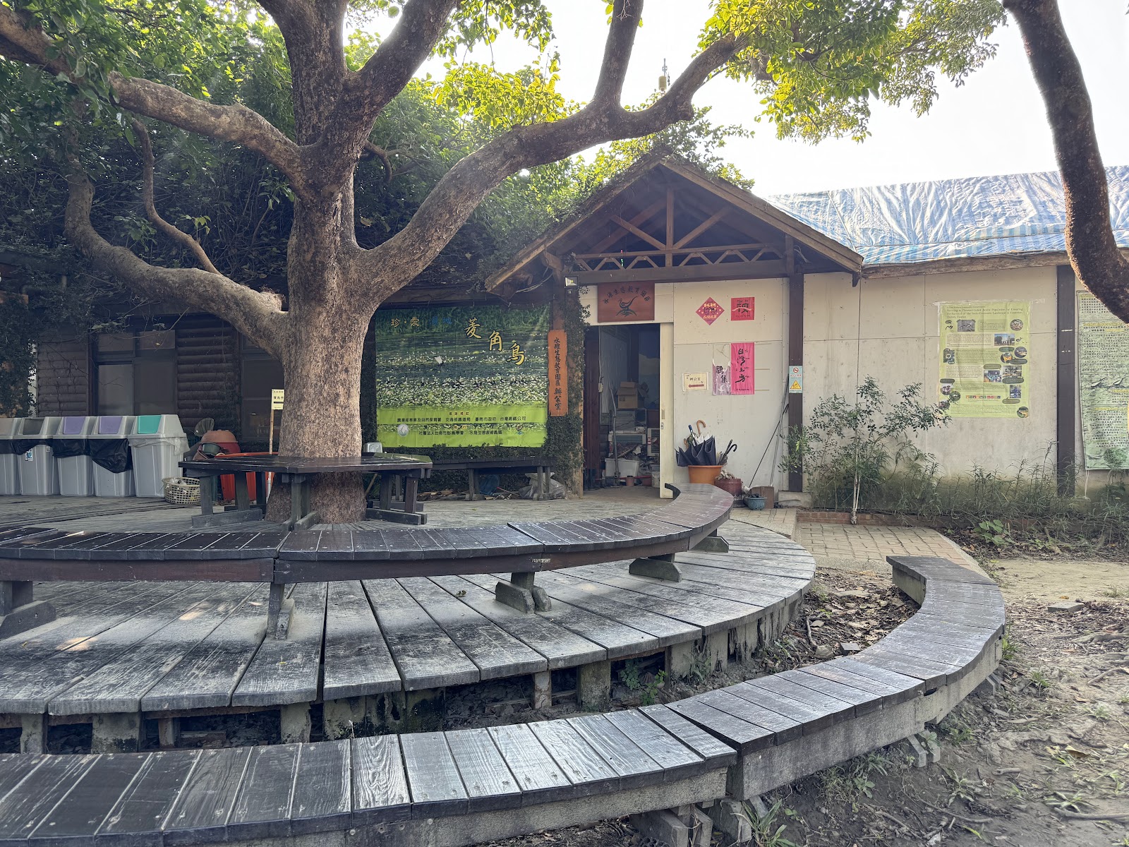 水雉生態教育園區庭院大樹與木造建築綠意環境