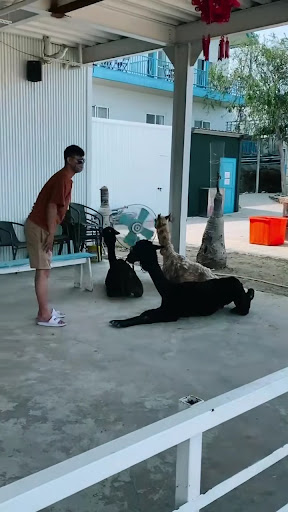 小琉球白天海天一色風景