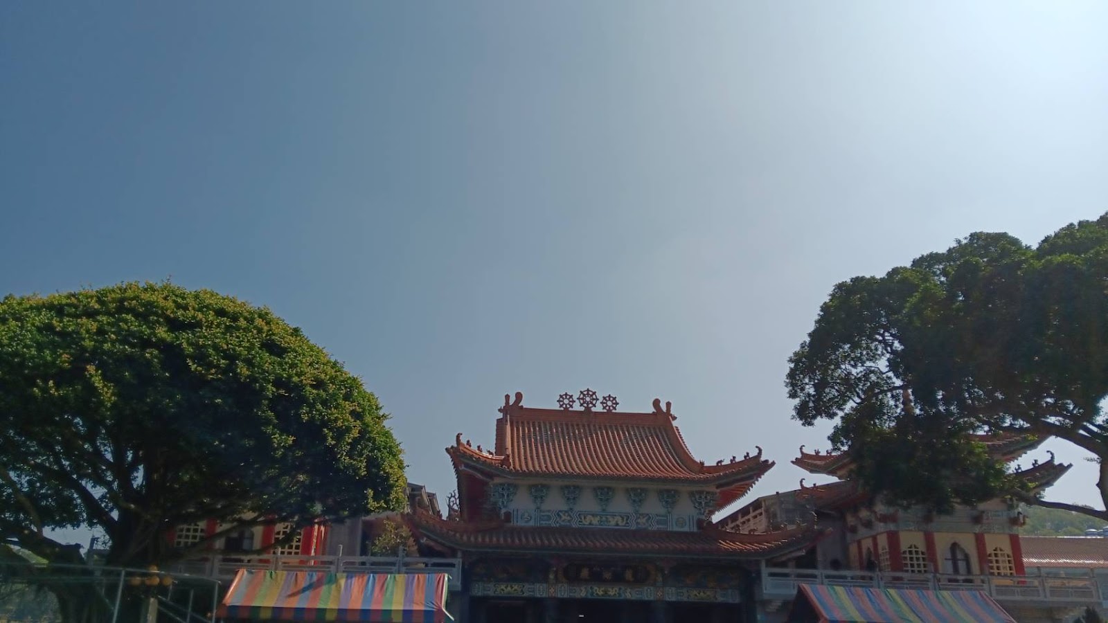 赤山龍湖巖後殿遠景,兩側大榕樹環繞