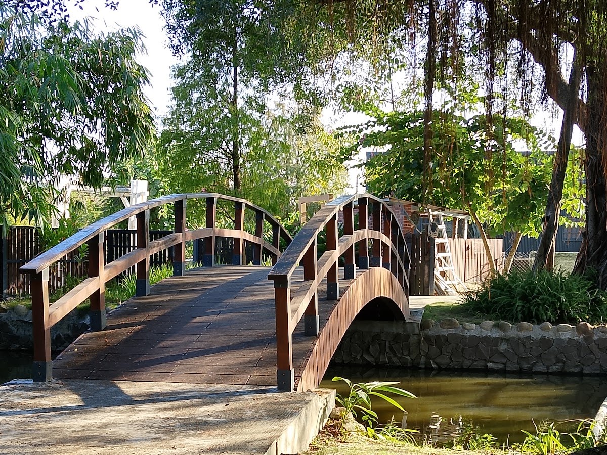 三秀園園內木拱橋,溪流旁大樹茂密,大埤景點散步