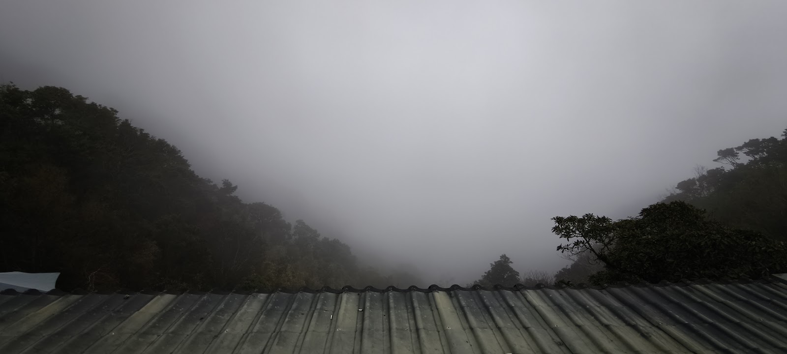 宇老觀景台從鐵皮屋頂俯視霧氣山谷
