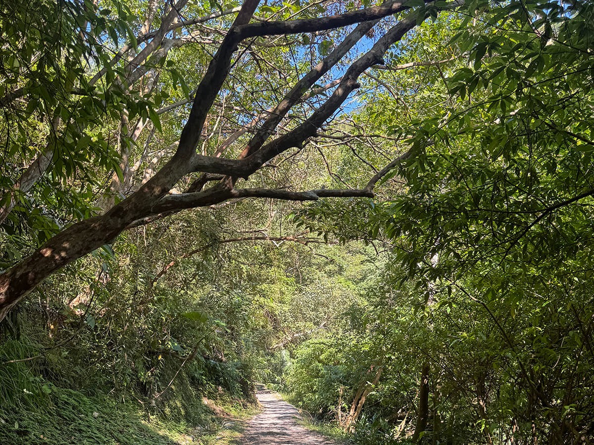 烏塗溪步道綠蔭碎石山林步道