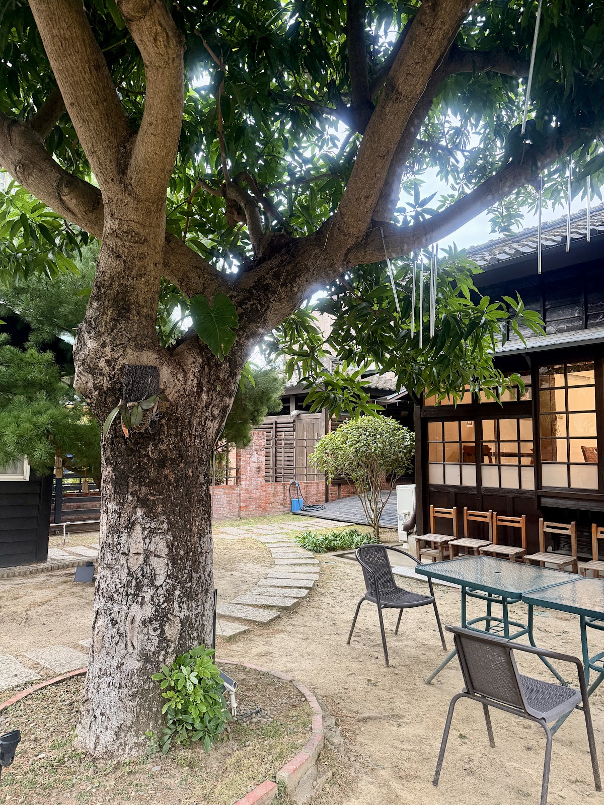 蕭如松藝術園區庭院大樹與戶外座椅，竹東景點