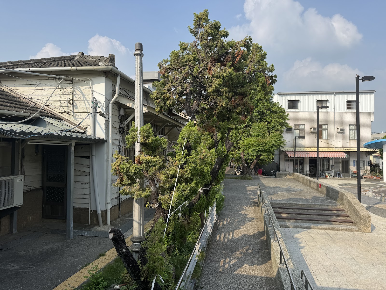 後壁車站側院，日式木造舊建築旁一棵大樹，廣場台階延伸
