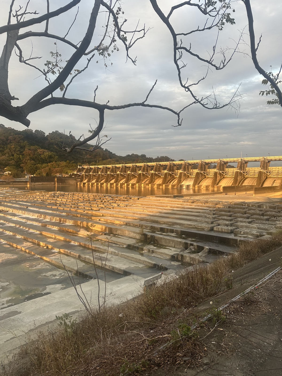 石岡水壩夕照金光枯枝剪影，黃昏旅遊景點台中石岡
