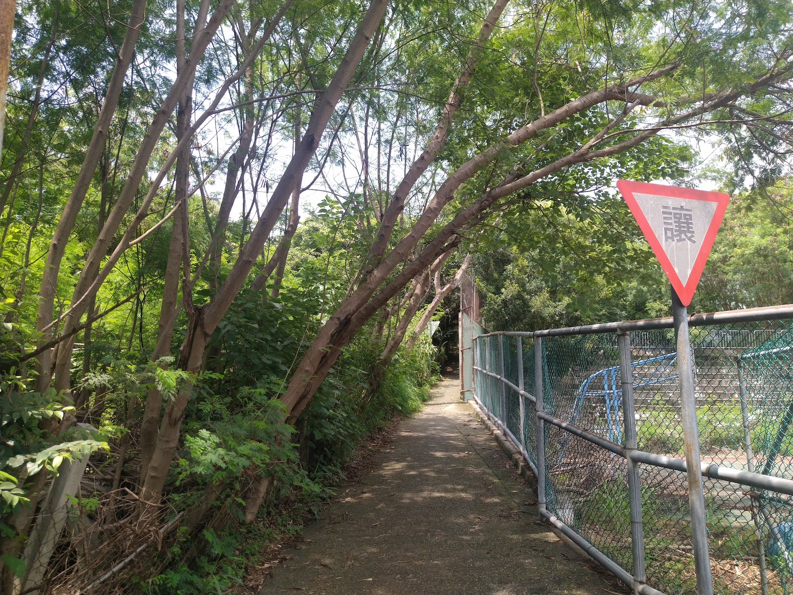 知高圳步道 台中烏日 百年水圳健行步道 綠蔭