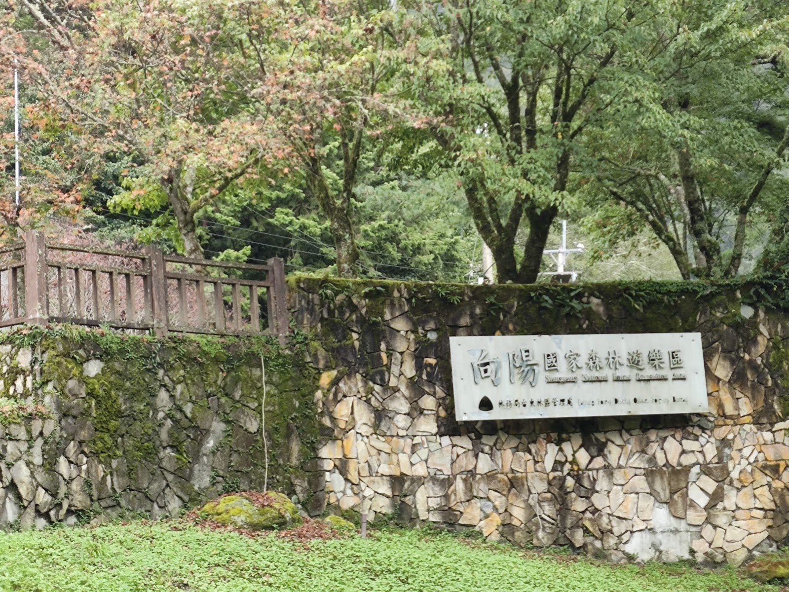 向陽國家森林遊樂區石牆入口標誌秋色楓樹，台東海端鄉高山景點
