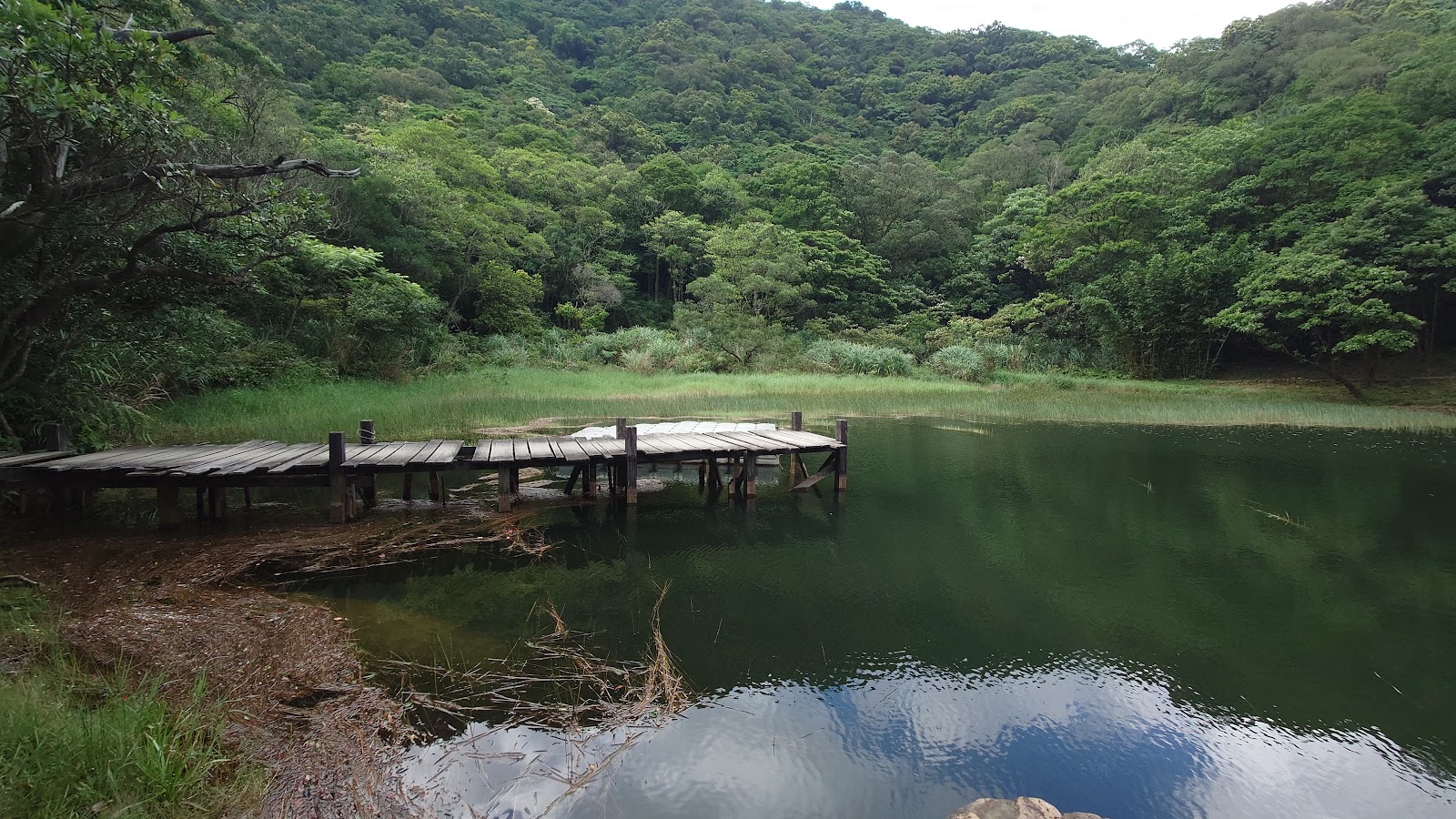 新山夢湖木棧道伸入湖面，翠綠山林環抱