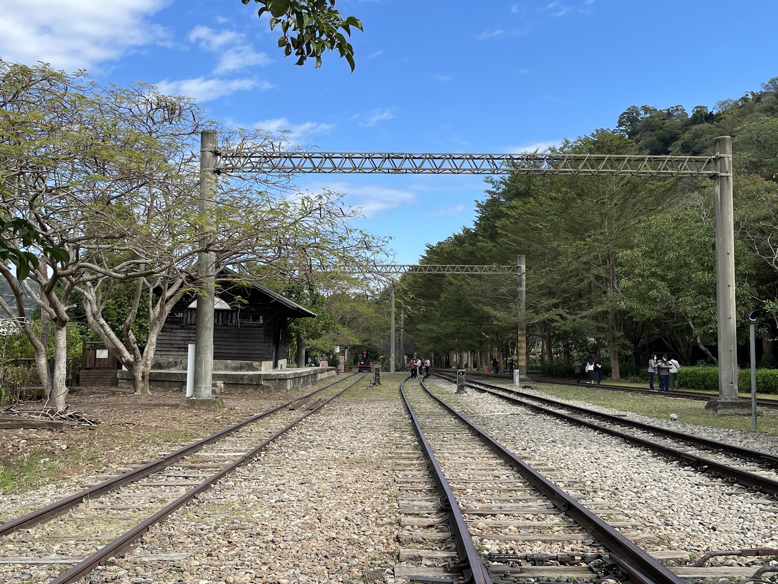 泰安舊車站舊山線鐵道雙軌筆直延伸遠方，兩旁樹蔭濃密
