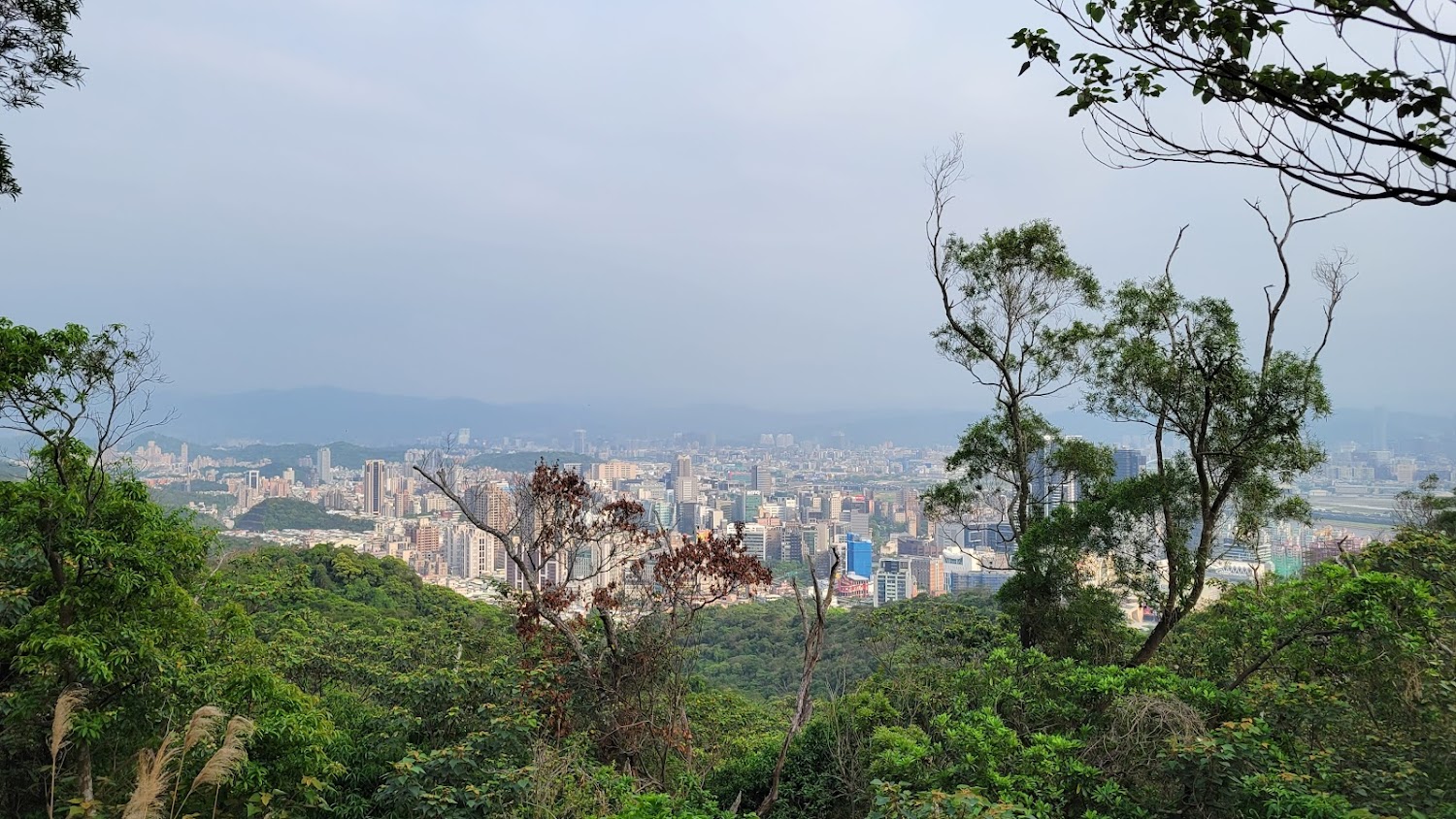 文間山遠眺城市景觀