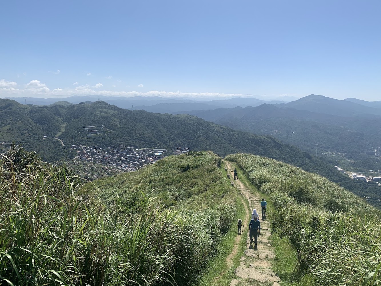 青草山徑上有登山客與狗同行