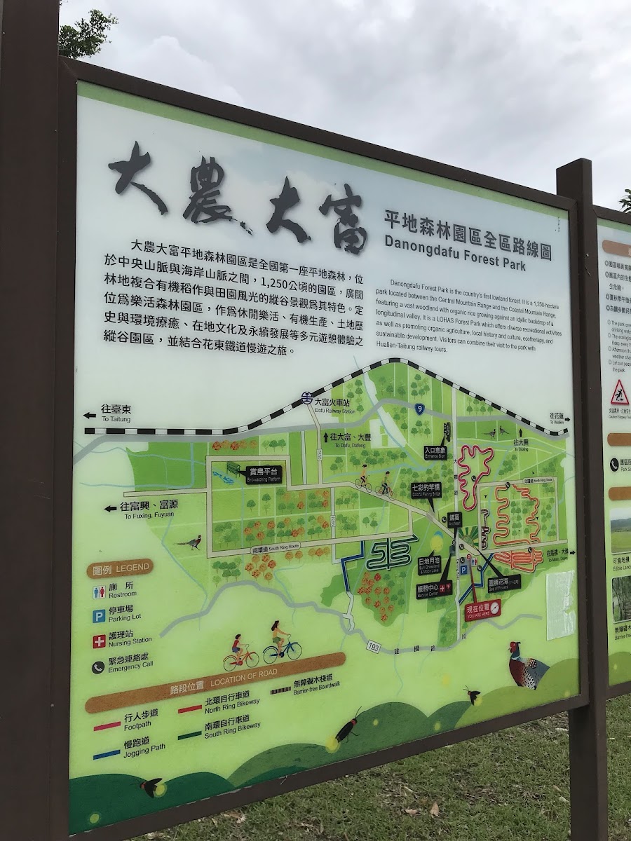 大農大富平地森林園區稻田與山脈景觀,花蓮農業生態