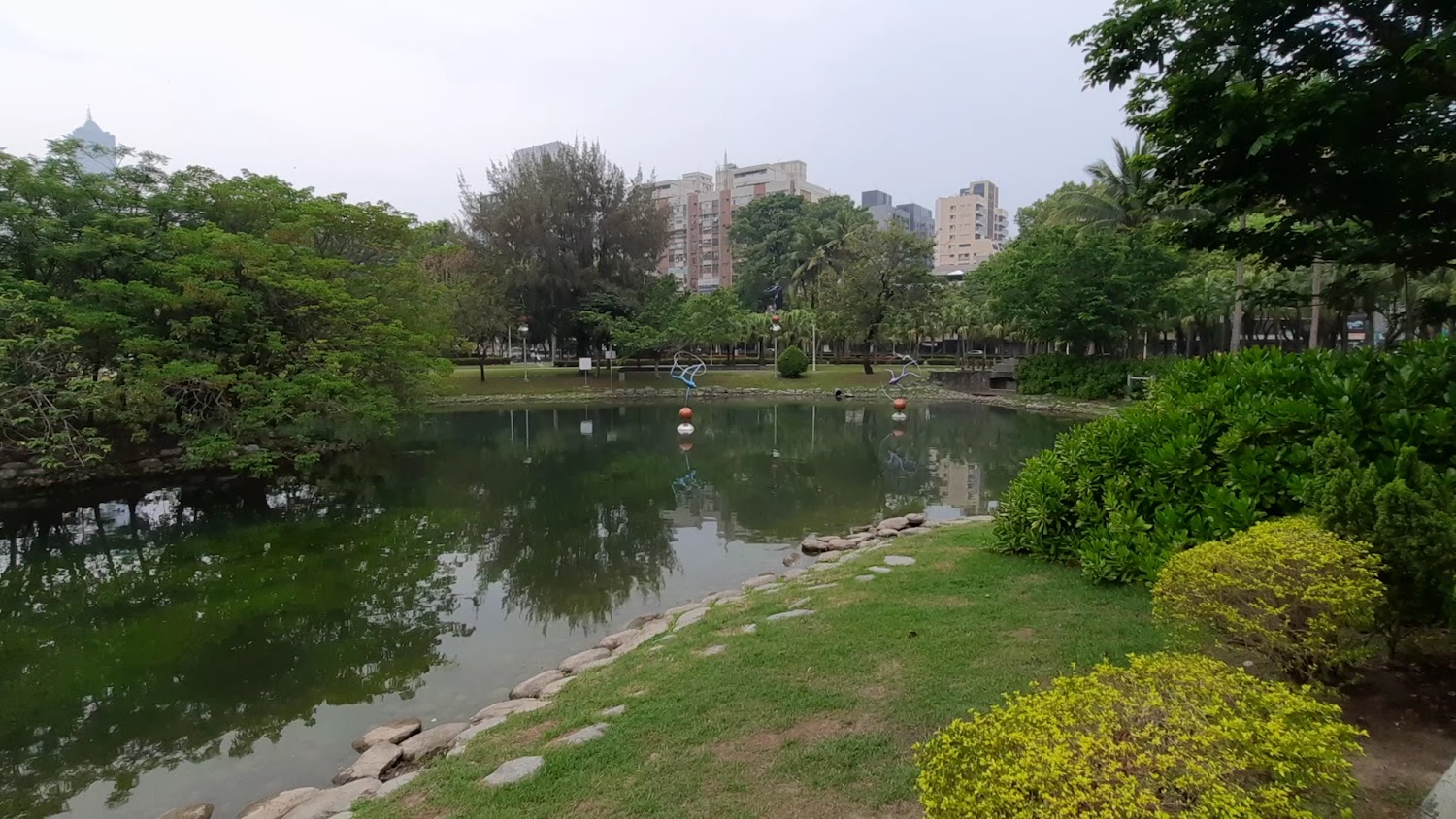 高雄中央公園綠地池塘與城市高樓景觀
