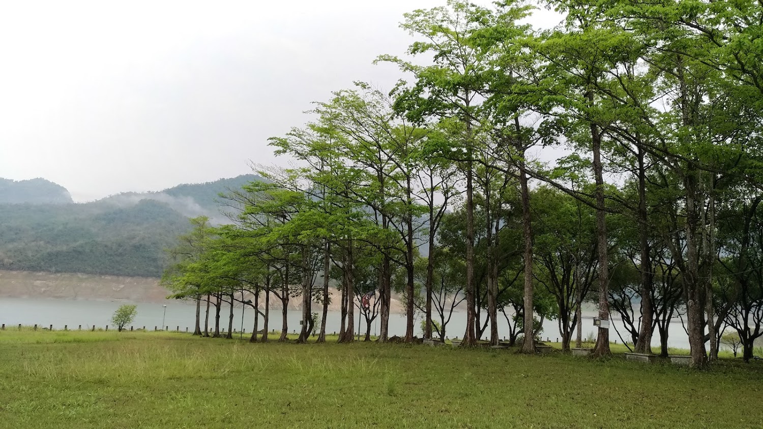 嘉義農場草地與樹林景觀