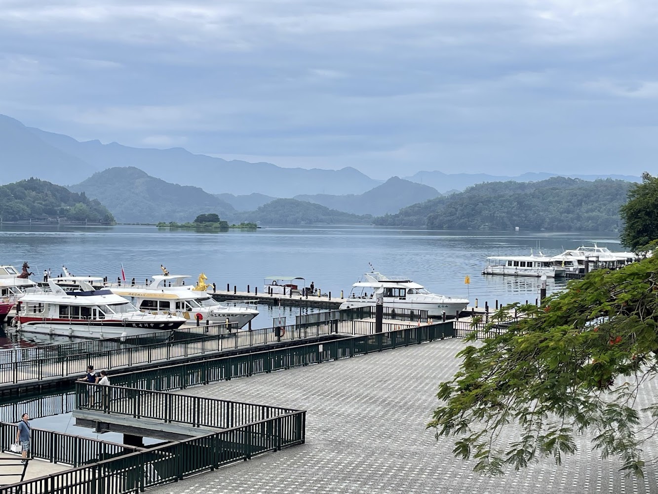 湖泊碼頭與多艘遊艇停靠
