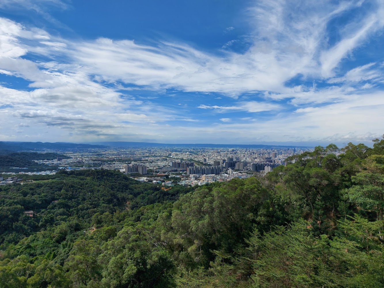 前景是森林，遠方可看到台中市區高樓景觀