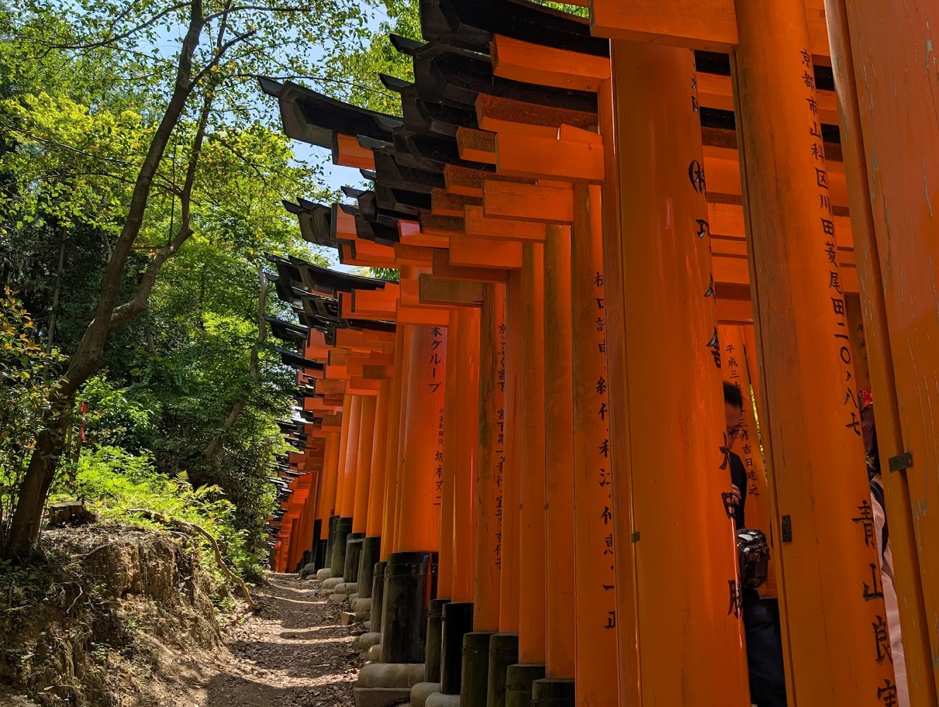 伏見稻荷大社千本鳥居小徑