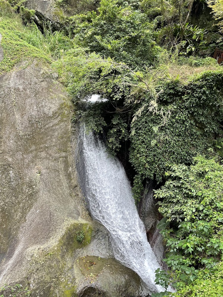 瀑布流經岩石與森林