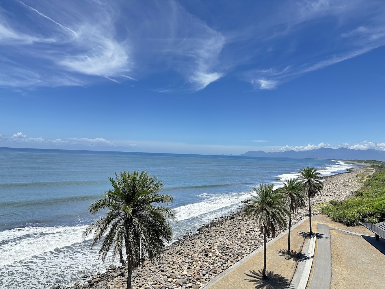 頭城海水浴場海岸與椰子樹