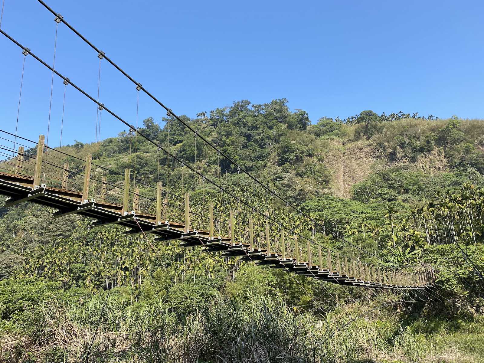 華山溪吊橋全景及溪谷景色