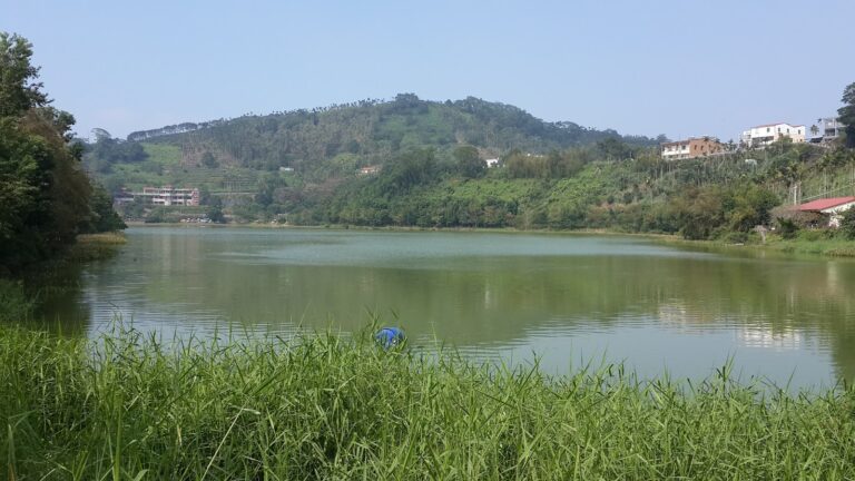 南投鹿谷麒麟潭全景,蘆葦搖曳映照翠山碧水
