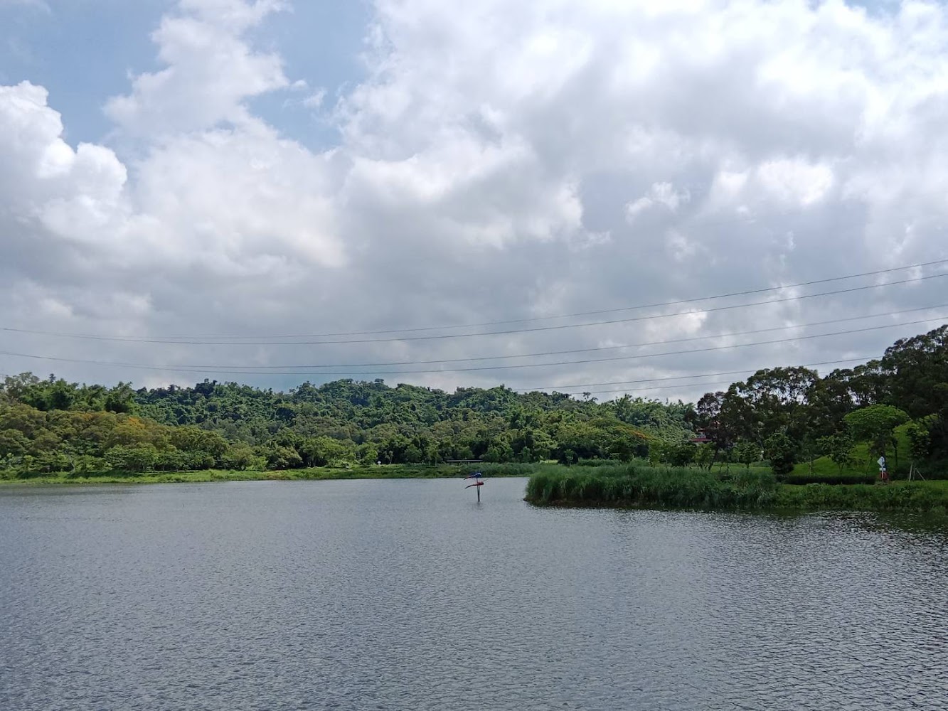 觀音湖開闊湖景與山丘天際線