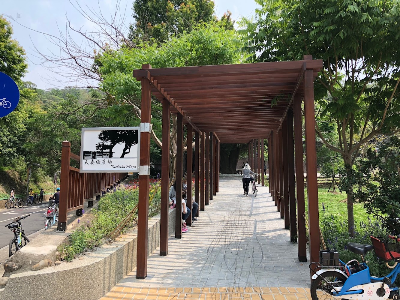 大榕樹廣場與自行車旅人