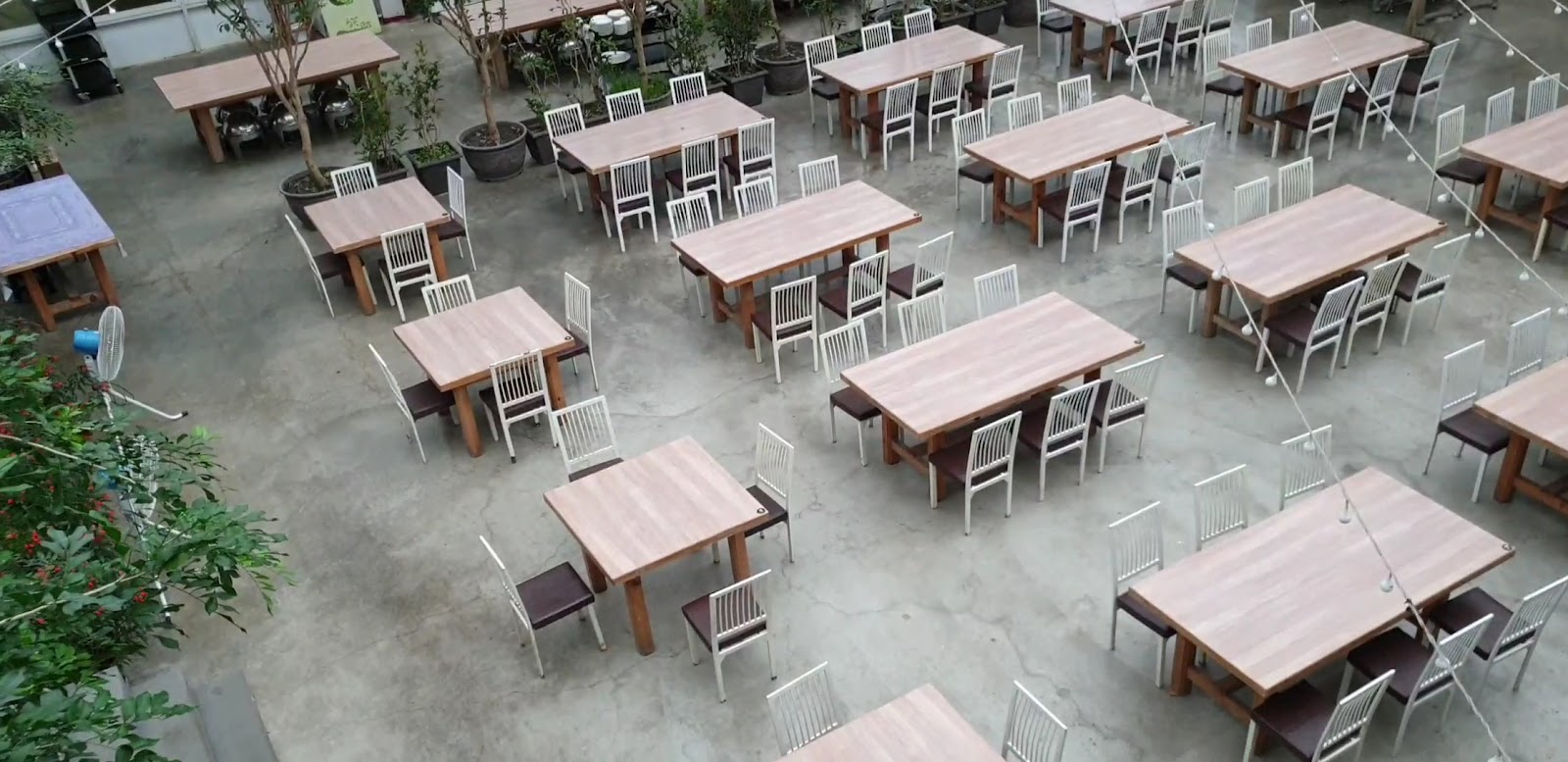 宜蘭員山香草菲菲館內餐廳用餐區植物綠意環境