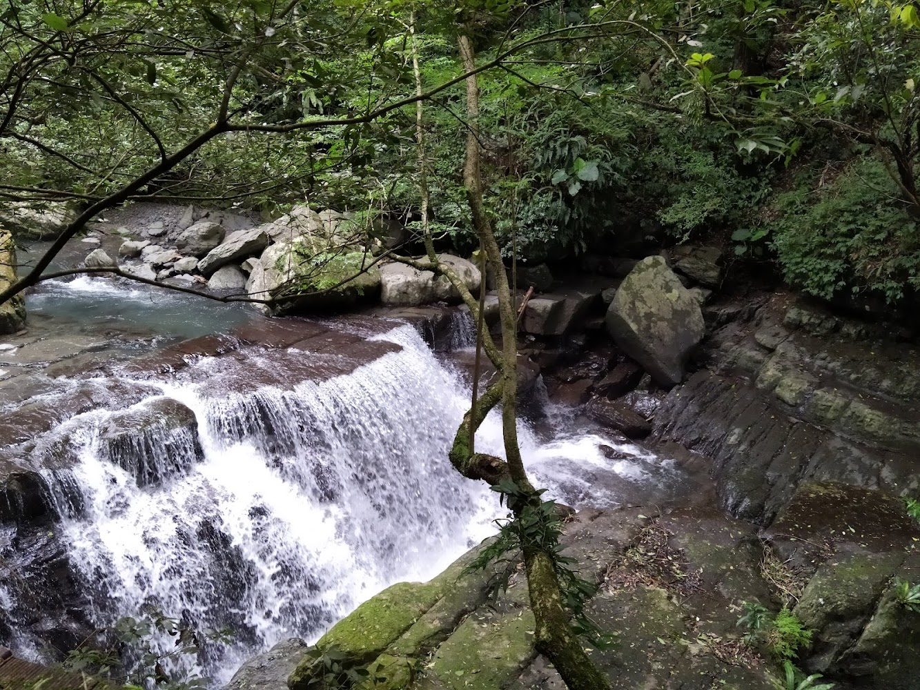 滿月圓山林小瀑布