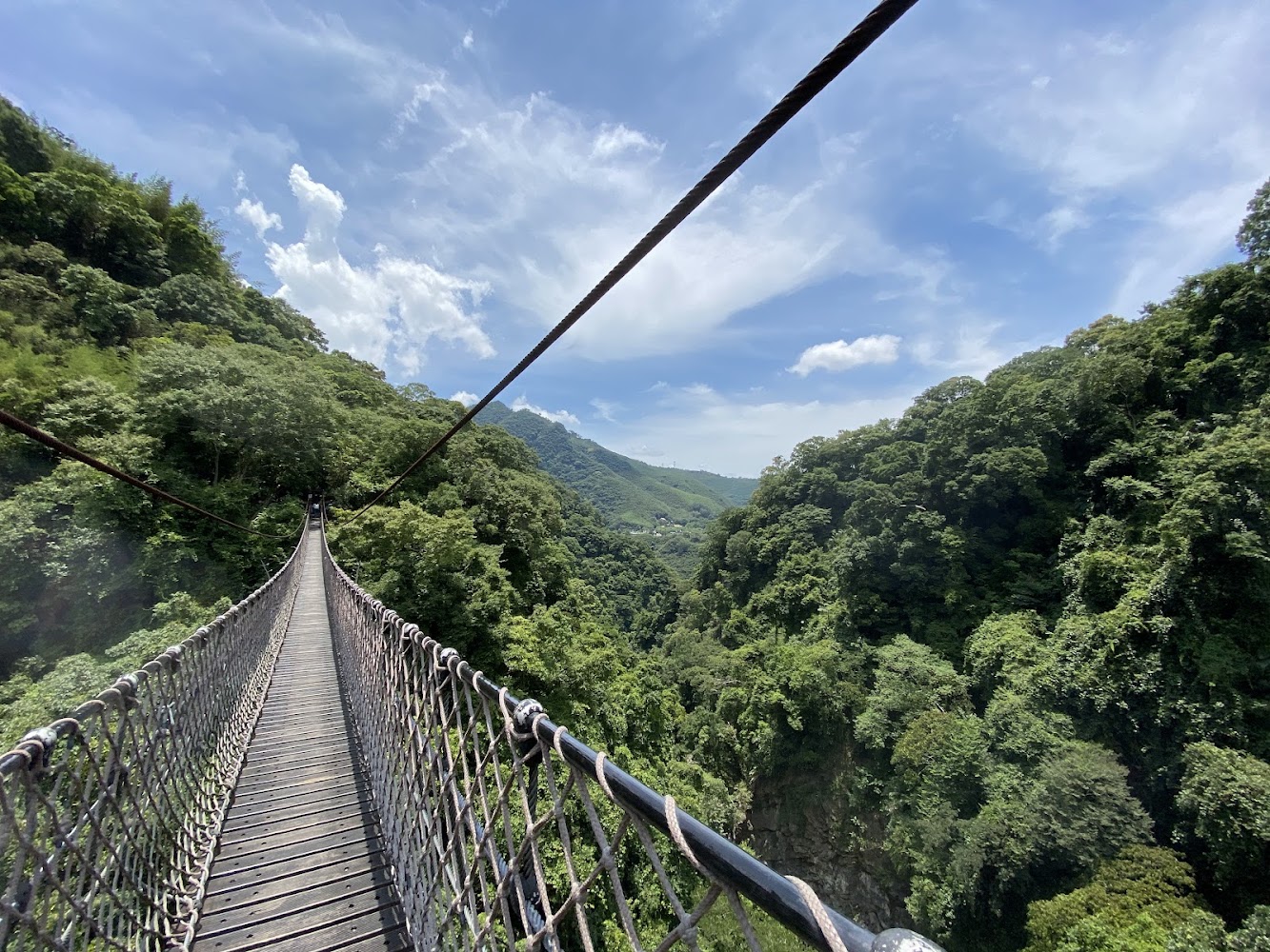懸空吊橋下方為森林峽谷與群山