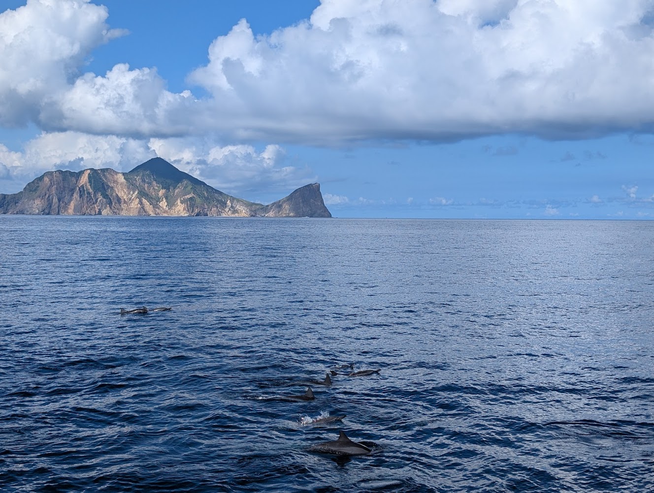 龜山島與海豚群同框景色