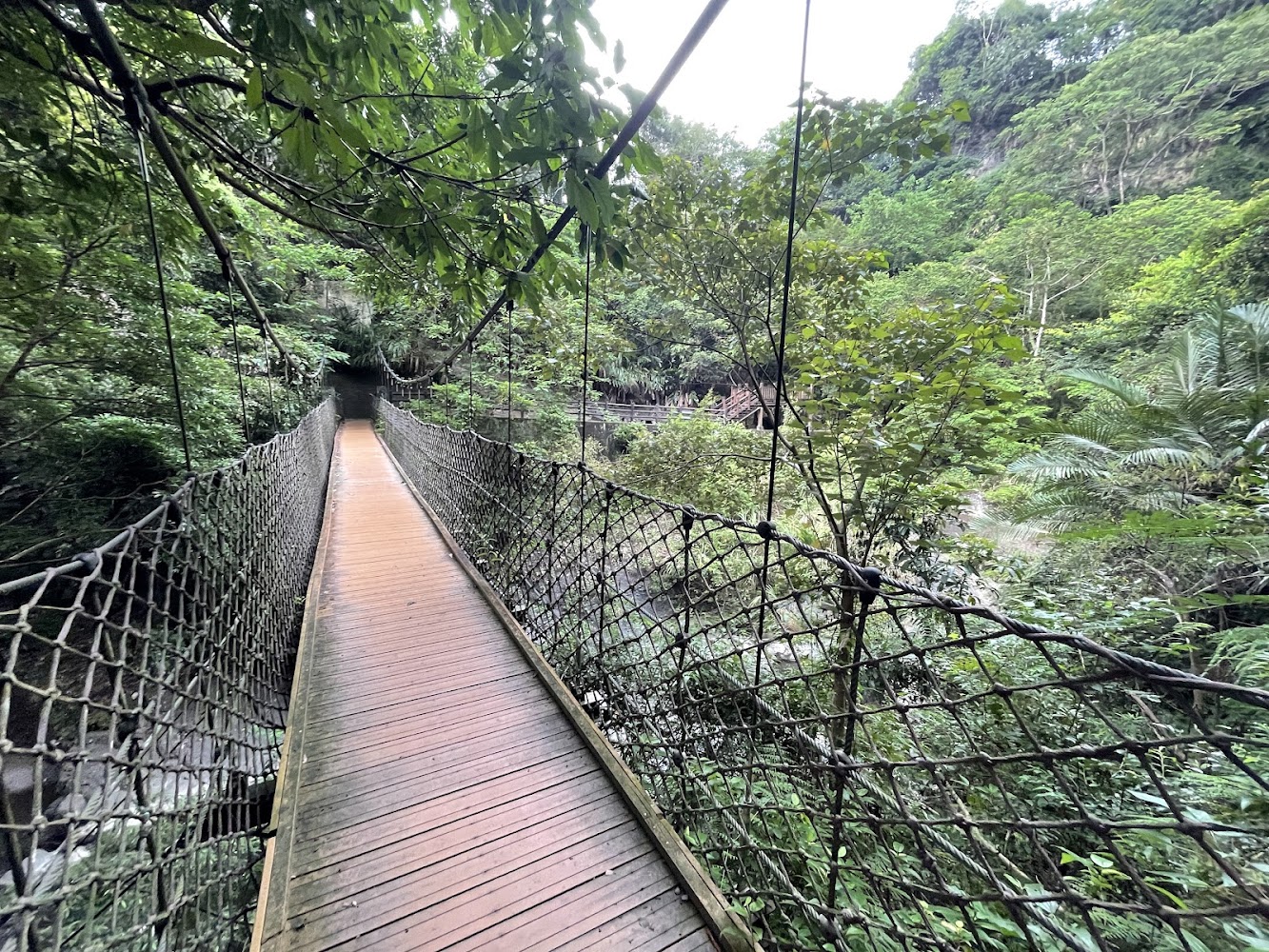 橫跨森林溪流的木板吊橋