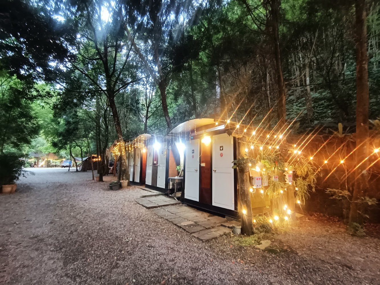 森林中的簡易小屋與燈串