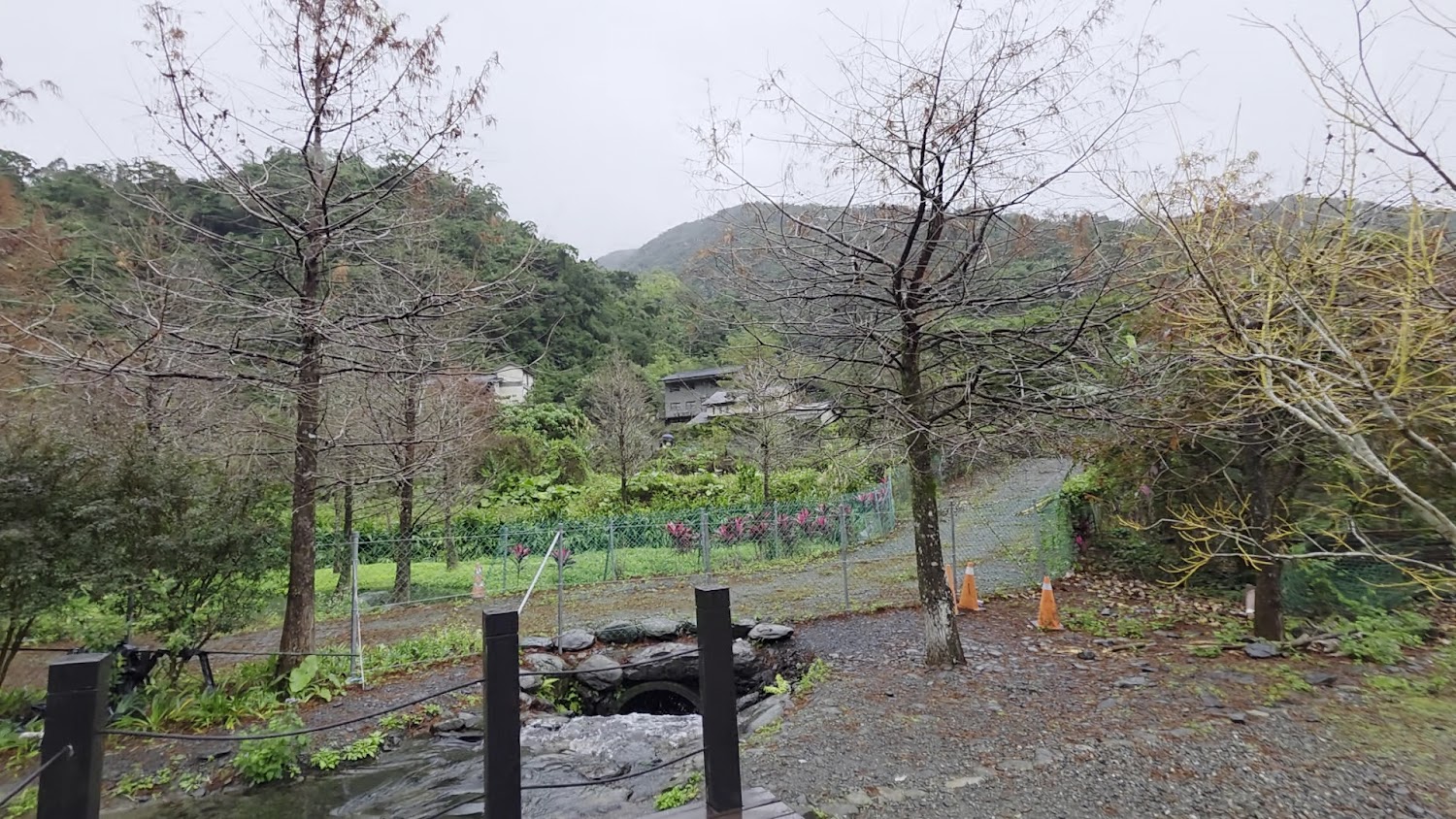 三層坪山林小徑與小橋