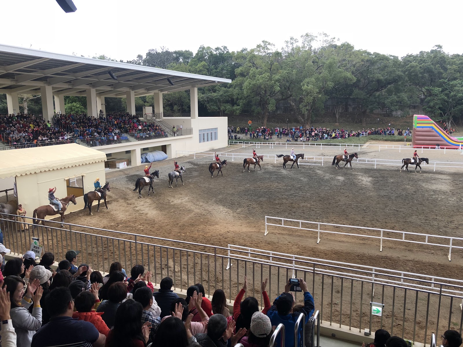 后里馬場瘋馬大馬戲騎術表演，騎手在馬背上展現精湛技術