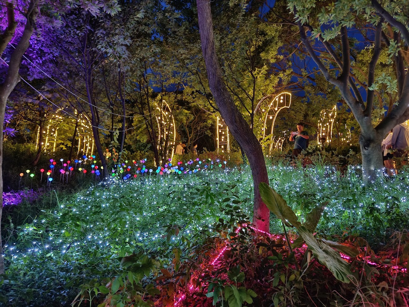 大古山夜間燈景裝飾與樹林步道